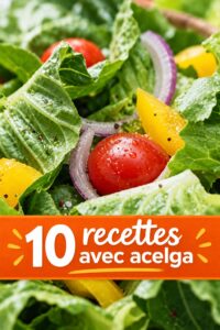 Assiette colorée de plats à base de bette à carde
